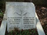 image number Hosh GS 06629